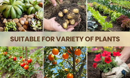 Soil Activated Treasure Premium Soil Activator 200gram (Pack of 2)