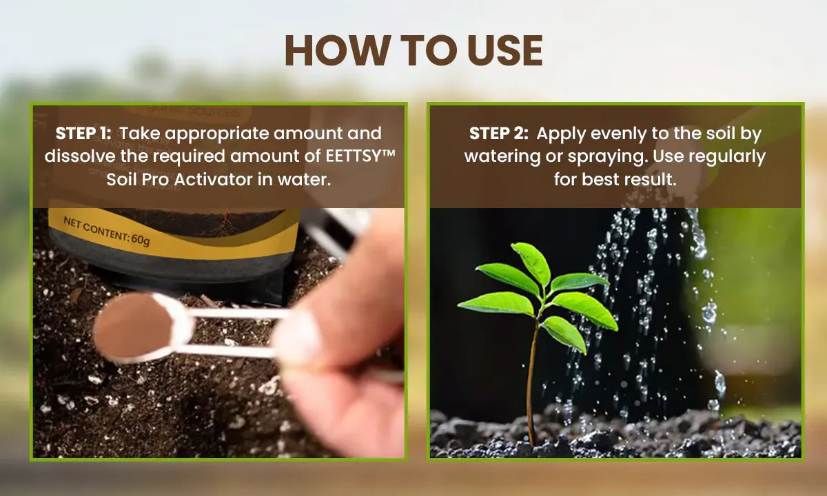 Soil Activated Treasure Premium Soil Activator 200gram (Pack of 2)